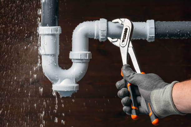 Professional Plumbing technician working in Farmland, IN